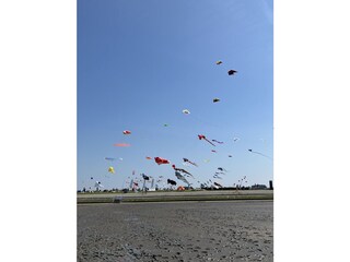 Maison de vacances Wittmund Environnement 30