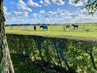 Ausblick