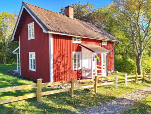 Ferienhaus "Björkliden" - Vimmerby - image1