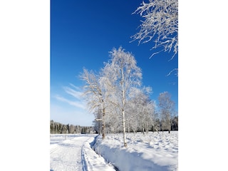 Winter in Hammerbrücke