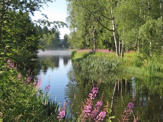 Waldsee