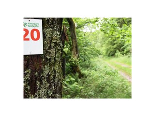 Casa per le vacanze Plütscheid Ambiente 38