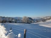 Casa de vacaciones Plütscheid Grabación al aire libre 1