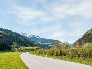 Maison de vacances Fügen Environnement 32