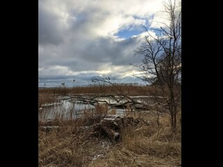 Casa per le vacanze Weberin Ambiente 40