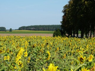 Ferienhaus Weberin Umgebung 18