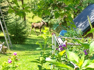 Das "Haus Toje" liegt absolut ruhig und idyllisch.