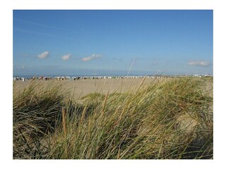 Ferienwohnung Norddeich Umgebung 17