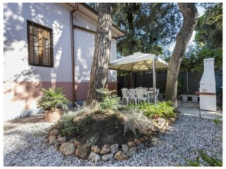 Villa Camaiore Ambiente 30