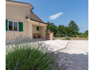 Parking space and the main entrance.