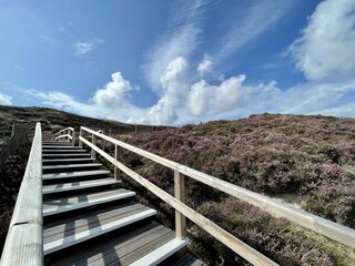 Appartamento per vacanze Westerland Ambiente 24