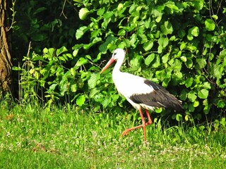 Casa per le vacanze Schlepzig  15