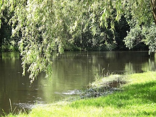 Casa de vacaciones Schlepzig  17