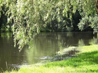 Casa per le vacanze Schlepzig  15