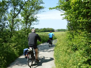 Vakantiehuis De Koog Omgeving 25