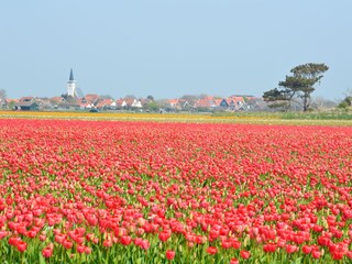 Vakantiehuis De Koog Omgeving 26