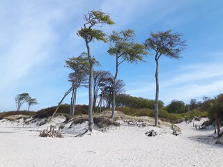 Weststrand