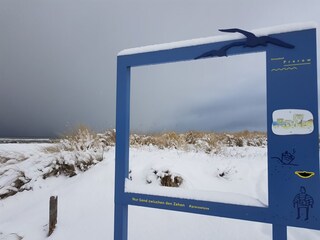 Nordstrand im Winter