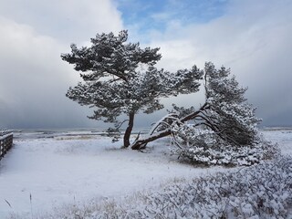 Nordstrand im Winter