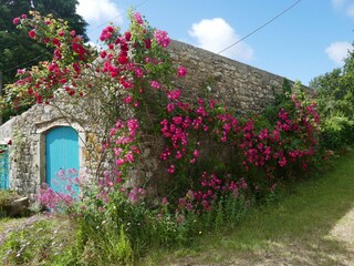 Casa per le vacanze Beuzec-Cap-Sizun Ambiente 28