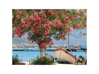 Casa per le vacanze Kampos Ambiente 26