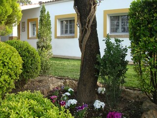 Parque de vacaciones Herrera de Alcántara Grabación al aire libre 6