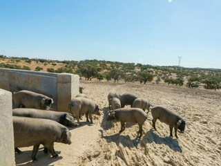 Parque de vacaciones Herrera de Alcántara  39