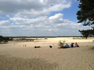 Holiday park Udenhout Environment 30