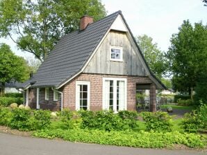 Ferienpark Schönes Ferienhaus mit Garten - Lemele - image1