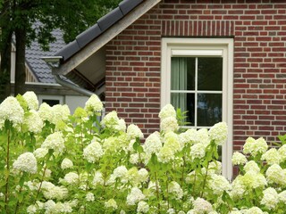 Vakantiepark Lemele  37