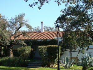 Holiday park Modernes Ferienhaus mit Pool - Herrera de Alcántara - image1