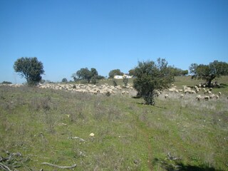 Vakantiepark Herrera de Alcántara Omgeving 33