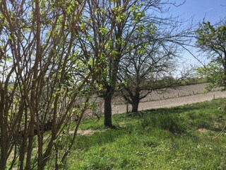 Parque de vacaciones La Coquille Entorno 18