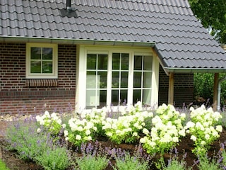 Ferienpark Lemele Außenaufnahme 4