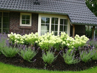 Parc de vacances Lemele Enregistrement extérieur 4