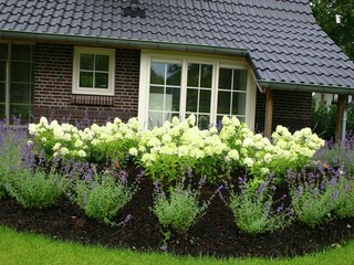 Vakantiepark Lemele Buitenaudio-opname 8