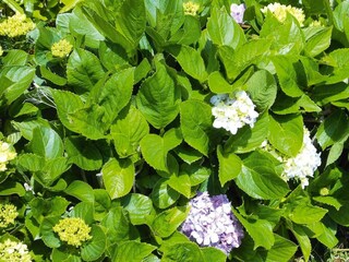 Parco vacanze Prainha Registrazione all'aperto 3