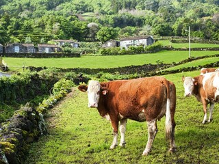 Parco vacanze Prainha Registrazione all'aperto 4