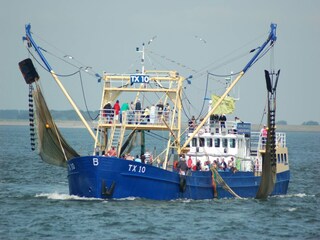 Parco vacanze De Koog Ambiente 22