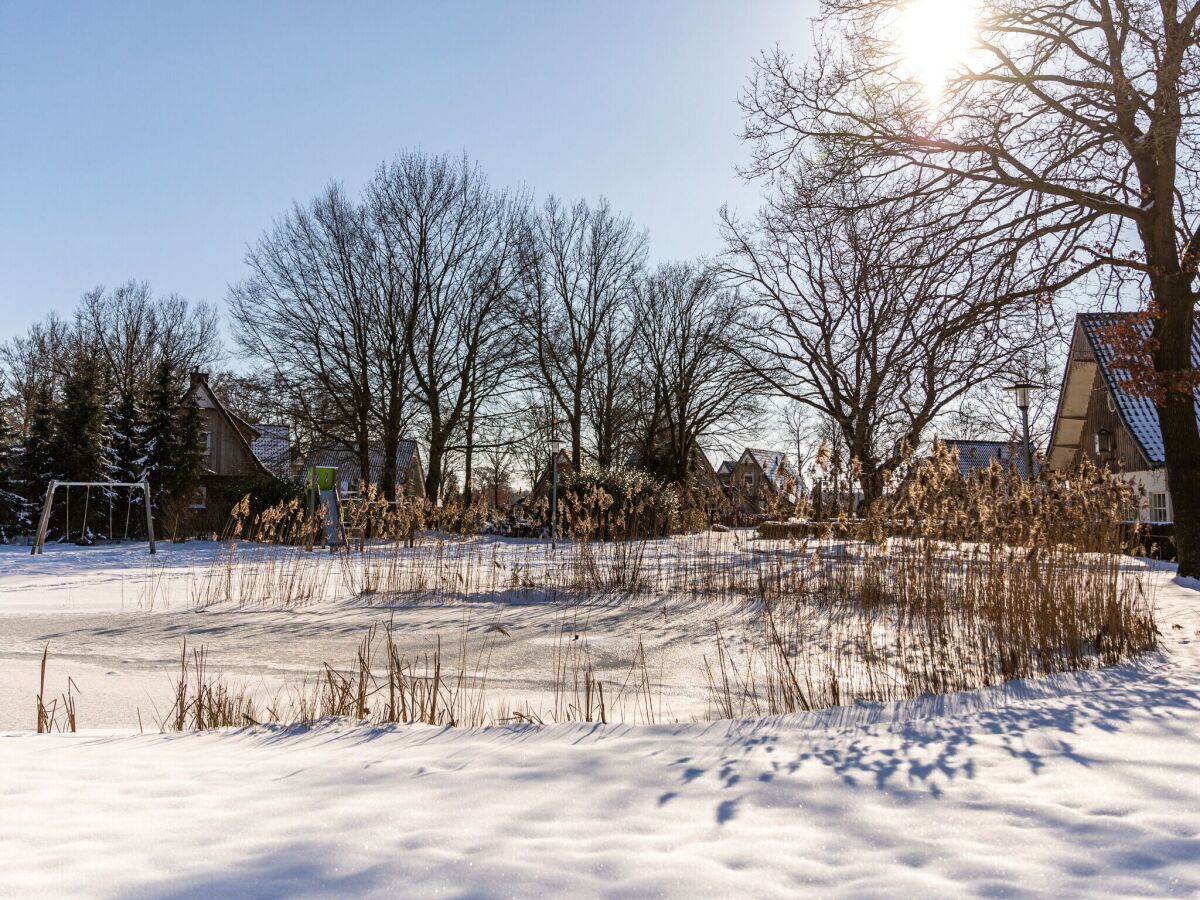 Ferienpark Lemele Umgebung 14