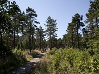 Holiday park De Koog Environment 25