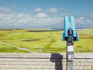 Ferienpark De Koog Umgebung 23