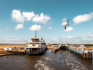 Parc de vacances De Koog Environnement 17