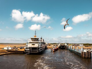 Vakantiepark De Koog Omgeving 17