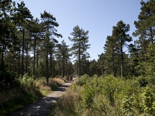 Parc de vacances De Koog Environnement 17