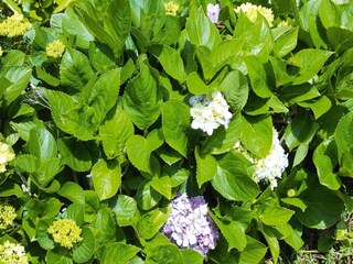 Ferienpark Prainha  37