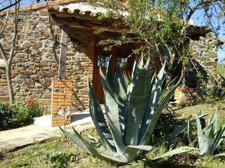 Parc de vacances Valencia de Alcántara Enregistrement extérieur 7