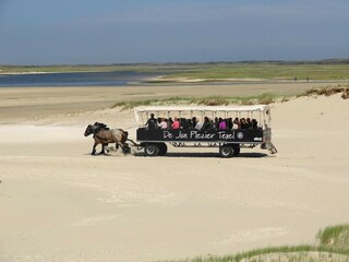 Vakantiepark De Koog Omgeving 15
