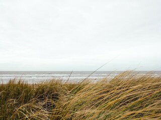 Vakantiepark De Koog Omgeving 16