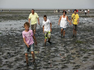 Vakantiepark De Koog Omgeving 17
